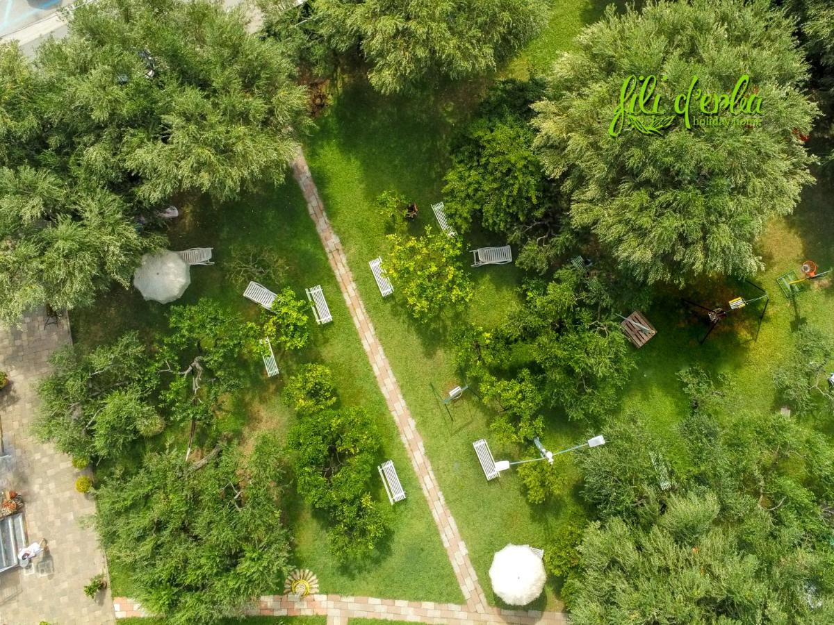 הוילה וילאמארה Fili D'Erba Cilento מראה חיצוני תמונה