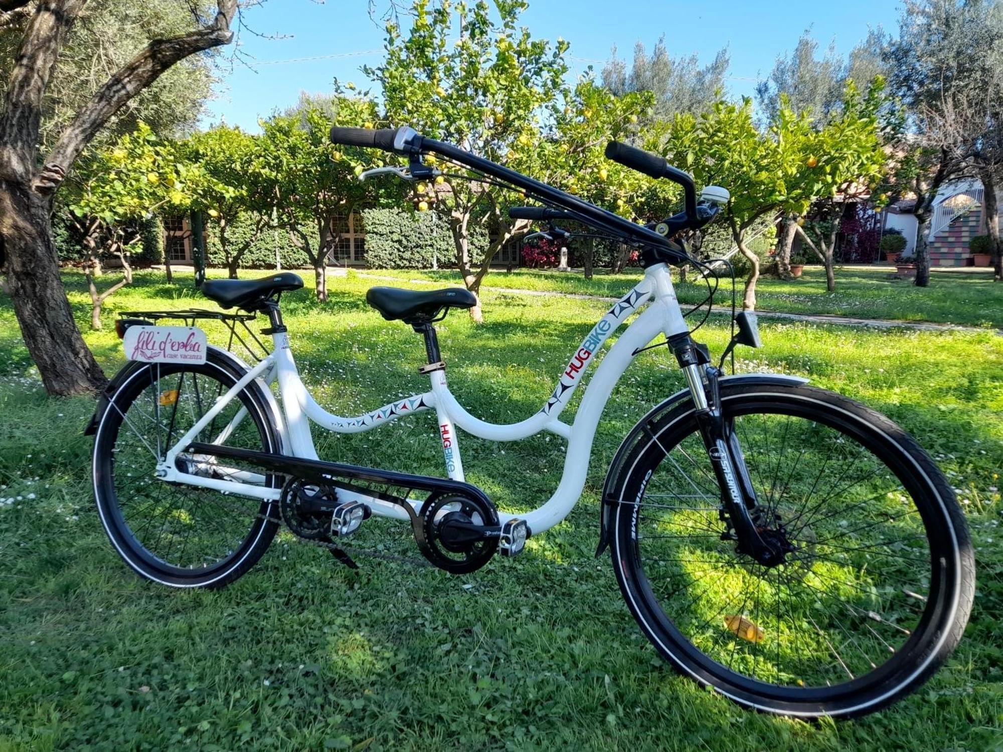 הוילה וילאמארה Fili D'Erba Cilento מראה חיצוני תמונה