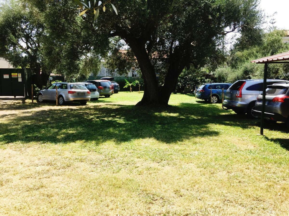 הוילה וילאמארה Fili D'Erba Cilento מראה חיצוני תמונה